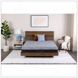 COPPERCOOL SELECT 10 IN FOAM