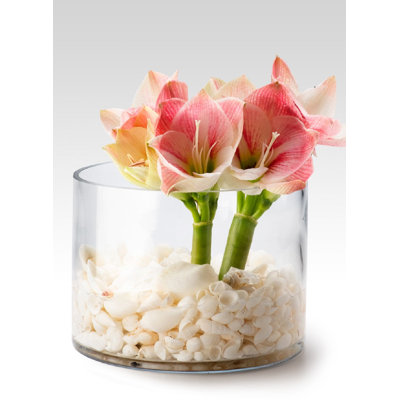 Glass Table Vase