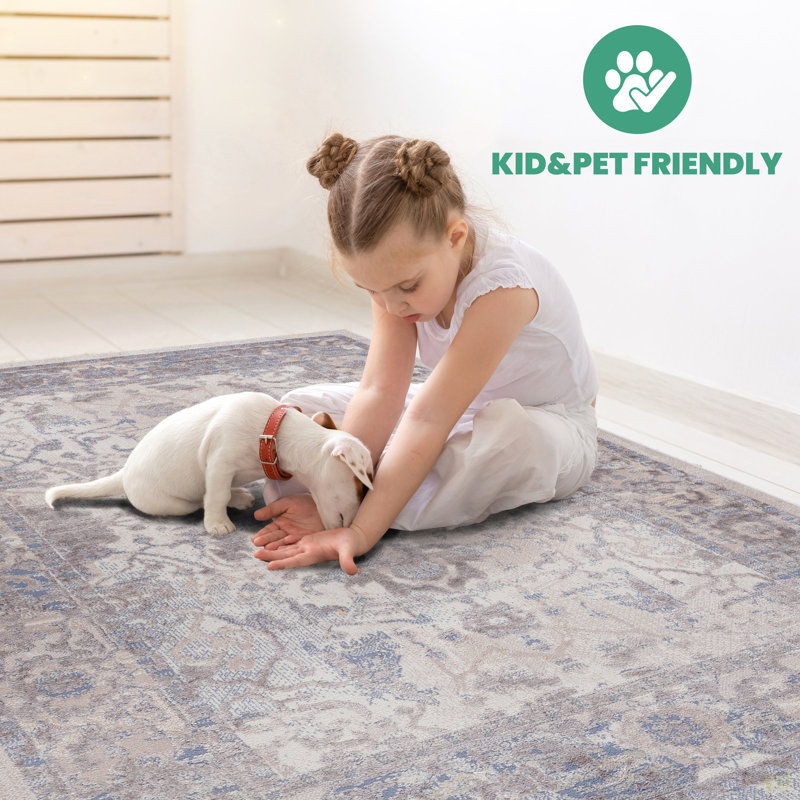 5X7 /Traditional Area Rug Stain Resistant, Non-Shedding, Friendly For Living Room, Bedroom, Dining Room And High-Traffic Areas