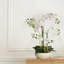 Silk Orchid Arrangement In Pot-823644236