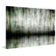 " Wispy Trees Reflect " by Parvez Taj-14230628