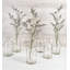 Urnes et bocaux en verre-1459119218