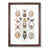 Walnut Framed selected
