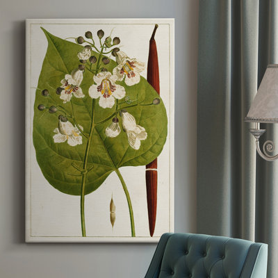 Arbres à fleurs antiques V - peinture sur toile tendue