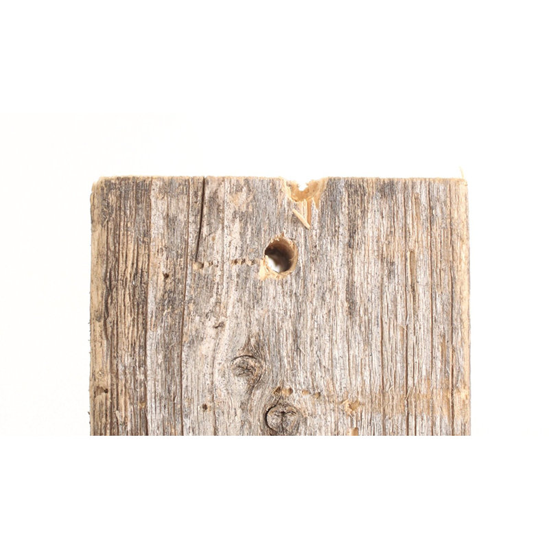 Suresh 2 Piece Triangle Cedar Solid Wood Bracket Shelf