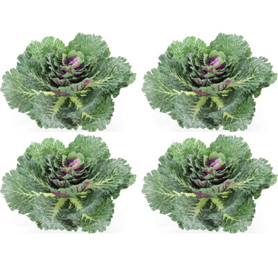 Artificial Cabbage Foliage Plant