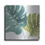 «Mixed Greens Lxxv» par Lisa Audit-2046800575
