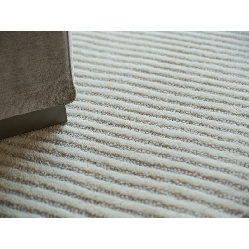 Serenity handloomed PET Beige/Brown Area Rug, Silver/Ivory, Rectangle 6' x 9'