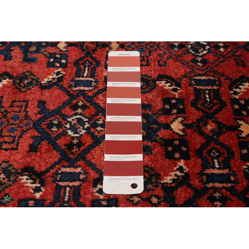 Andelz Red Rug 3'5" x 9'8"