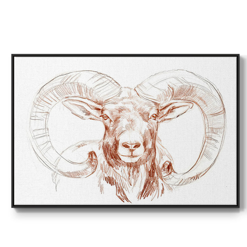 «Big Horn Sheep I», peinture sur toile encadrée, H 25 po x l 37 po x P 2 po, Cadre noir
