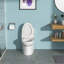 Ceramic One Piece Toilet