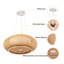 19.65Inch Bamboo Vintage Ceiling  Lighting-840553021