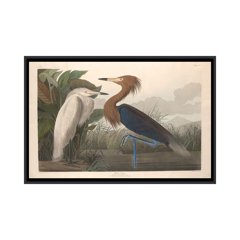 « héron », impression sur toile, H 18 po x l 26 po x P 1,5 po, Toile avec cadre noir, Pas de tapis