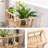 Gailon 2 Tier Plant Stand