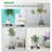 Wallin Caddy Plant Stand