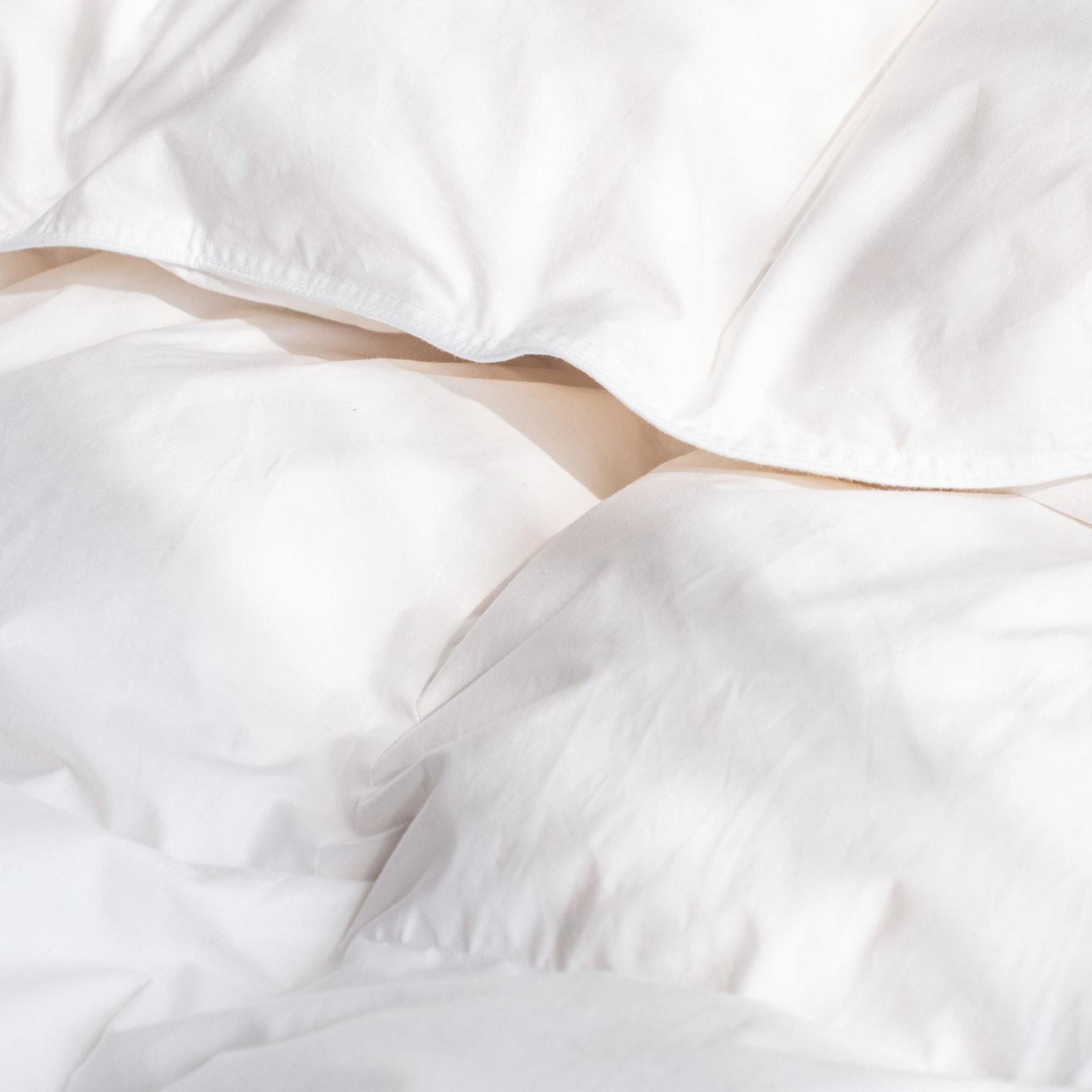 Extra Warm Feather and Down Duvet Insert, King