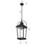 Luminaire suspendu d'extérieur noir 21 pouces Allyiah