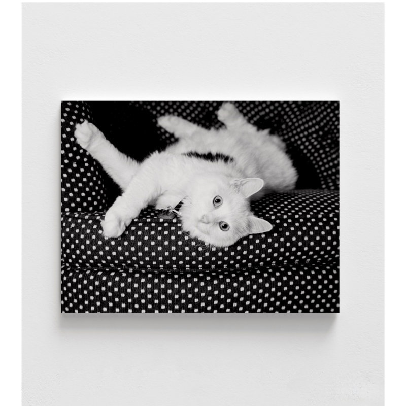 Chat, décor de bureau de chat blanc, impression de chaton, œuvre de chat ludique, art de chat noir et blanc, affiche d'art de chat moderne