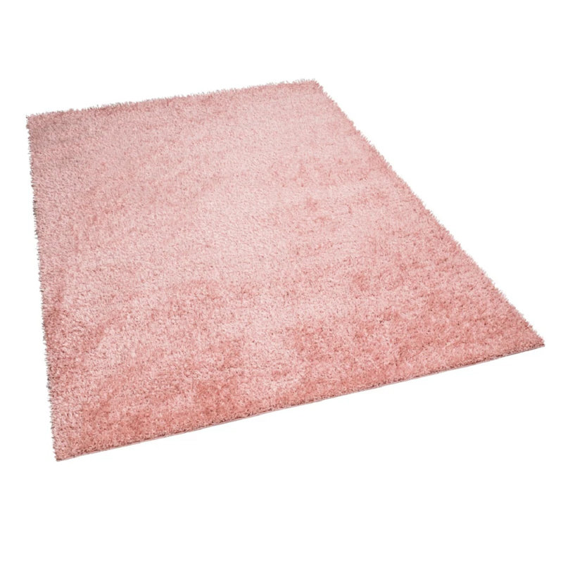 Shag Indoor / Outdoor Area Rug, Rectangle 120 x 170 cm