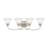 Nicolas 4 - Light Dimmable Vanity Light-21308569
