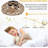 Turnerville 12'' Ceiling Fan with Light Kit