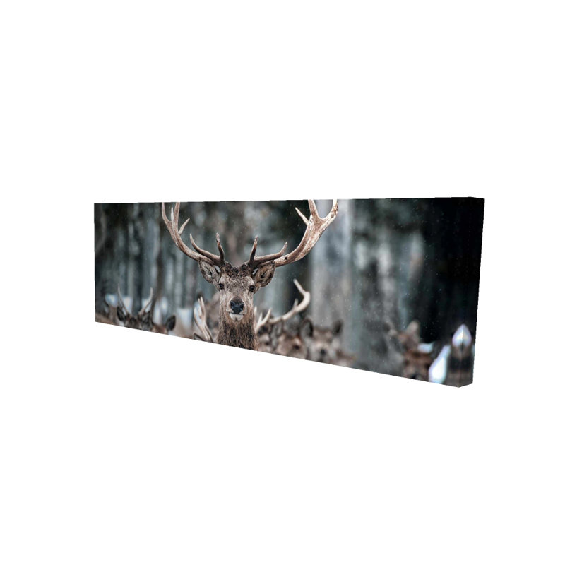 Stags - Toile de chambre pour les fêtes