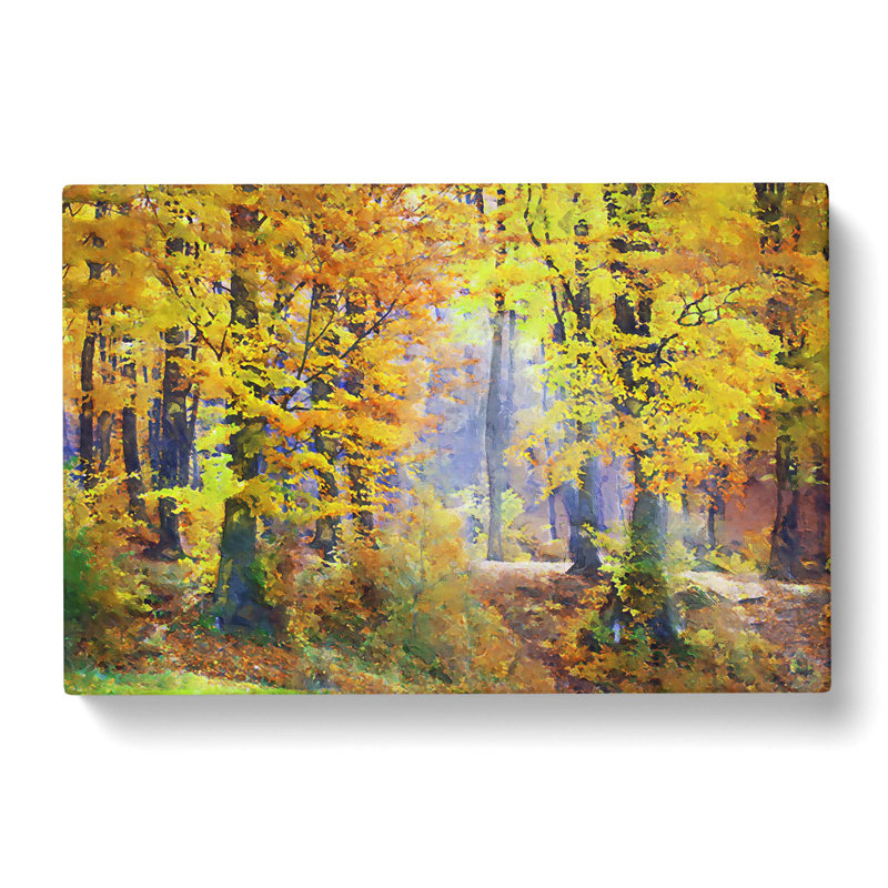 Forest In The Fall - Wrapped Canvas Print, 60cm H x 91cm W x 3cm D
