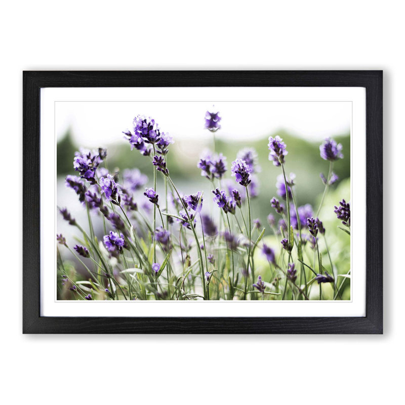 Single Picture Frame Print, Black