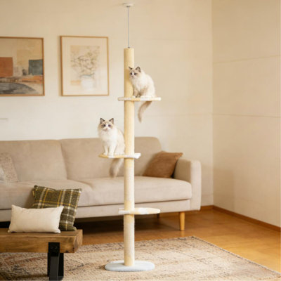 Arbre à chat, arbre à chat à 4 niveaux