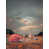 Toile avec cadre