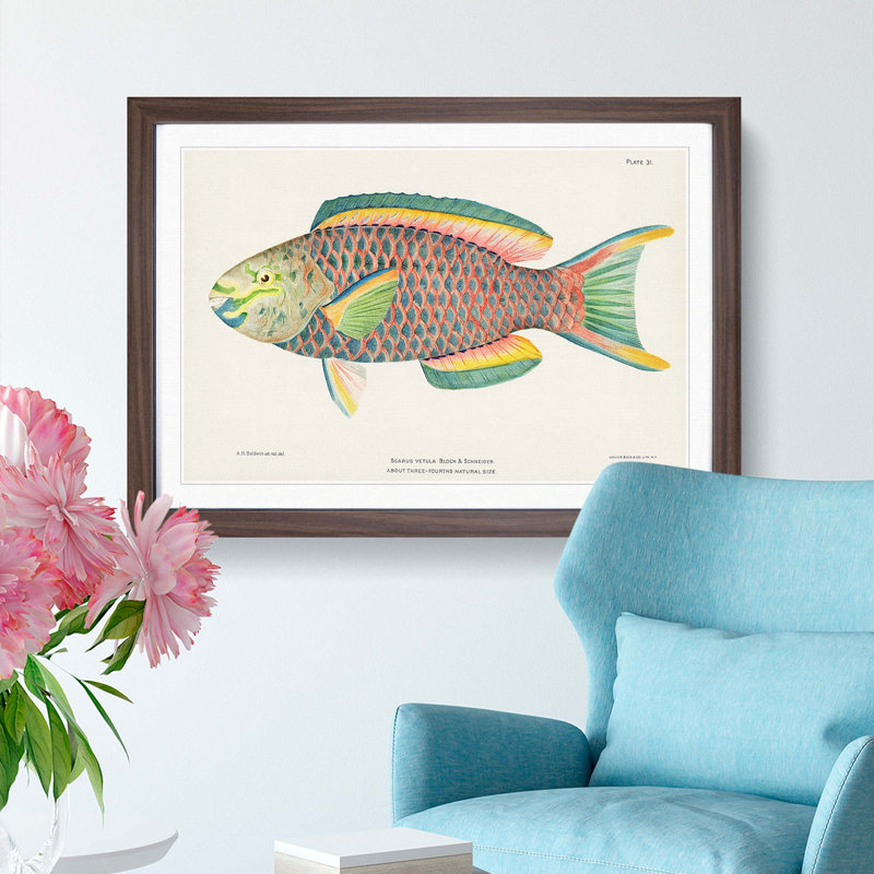 Tropical Fish by Henry Baldwin - Picture Frame Painting Print, Walnut Framed, 27cm H x 36cm W x 2cm D