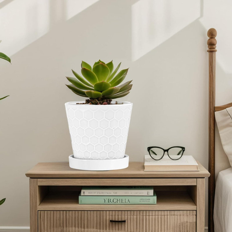 Ceramic Pot Planter