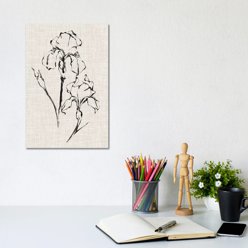 Floral Ink Study II by Ethan Harper - Gallery-Wrapped Canvas Giclée on Canvas, 20.32 cm H x 30.48 cm W, Canvas