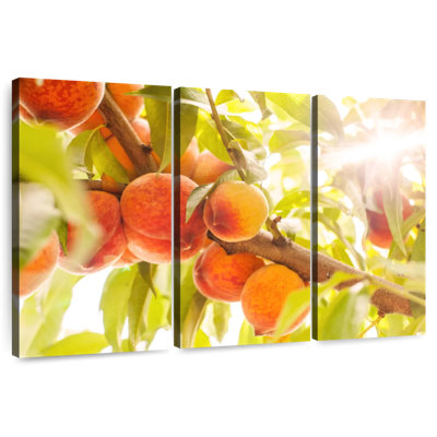 Harnek Sunshine Peaches