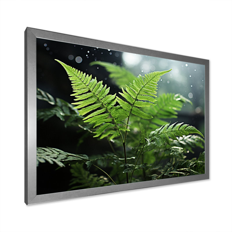 " Ferns Close Up Photo IV ", H 12 po x l 20 po x P 1 po, Cadre simple argenté