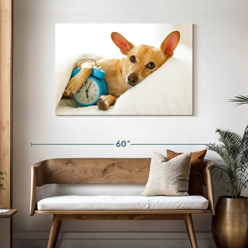 Brampt Dog Alarm, 30" H x 45" W