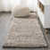 Anttwan Solid Shag Light Beige Rug