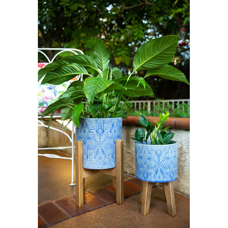 Ceramic Pot Planter