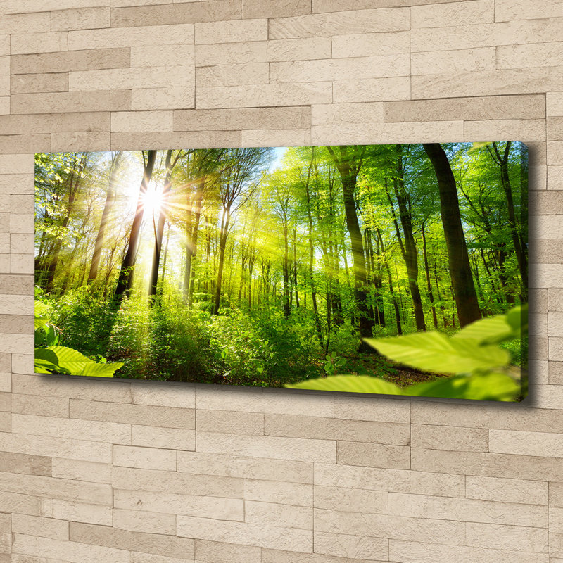 Forest In The Sun - No Frame Print on Canvas