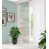 Mint selected