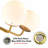 Glass Semi Flush Mount