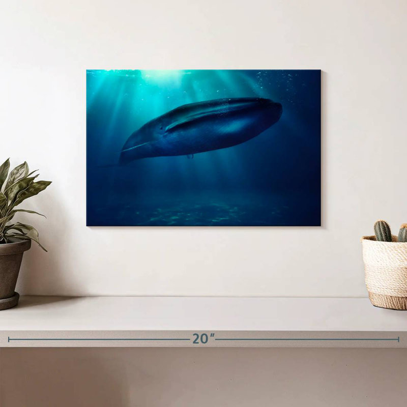 Brampt Blue Whale Underwater, 8'' H x 12'' W