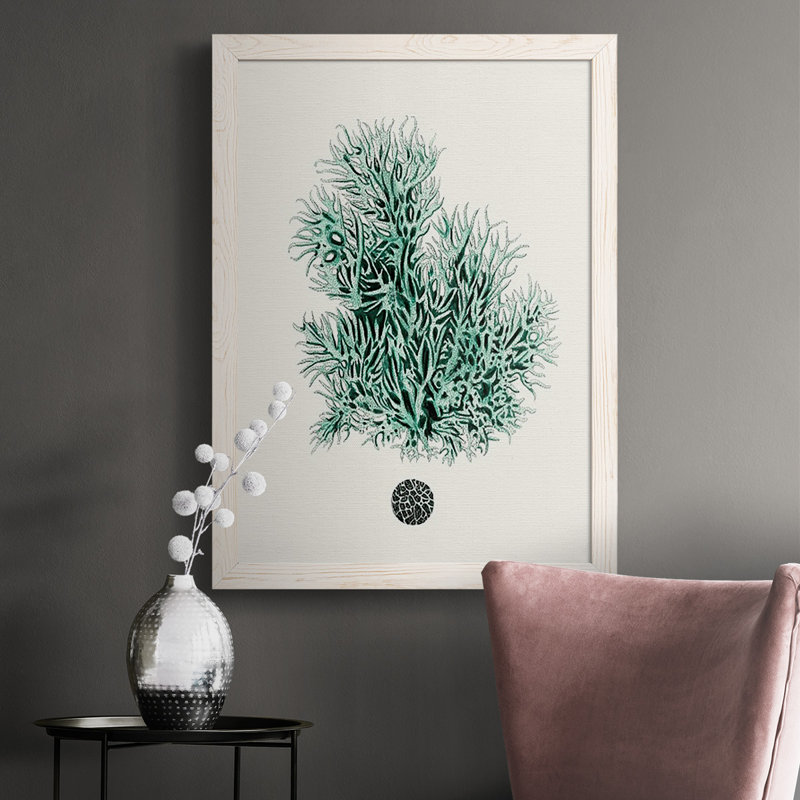 «Franta Antique Coastal Coral V», reproduction d'art sur toile, Blanc, H 37,5 po x l 27,5 po x P 1 po