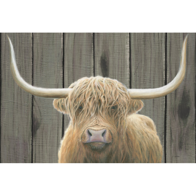 Highland Cow on White by James Wiens - Photograph Print, Black Floater Framed, 51 cm H x 76 cm W
