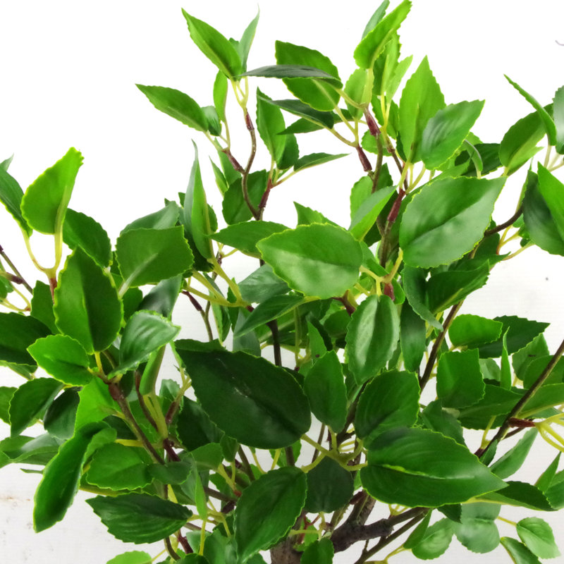 Anlin 50cm Faux Ficus Tree in Pot