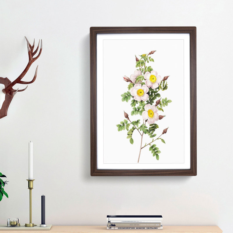 Burnet Rose in Pink by Pierre-Joseph Redoute - Picture Frame Art Print, 48cm H x 36cm W x 2cm D, Walnut Framed