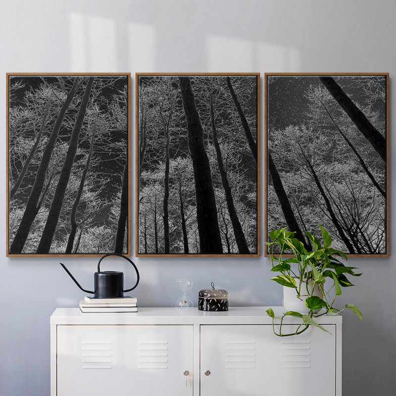 Ciel nocturne encadré sur toile, 3 pièces, Noyer, H 36 po x l 75 po x P 2 po
