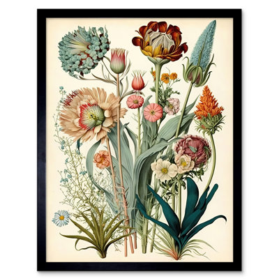 Girons Ernst Haeckel Inspired Vintage Botanical Plant - Single Picture Frame Print