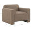 Benecito Accent Chair