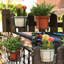 Cravate pour plante Intexca